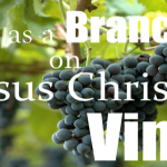 Living on Jesus Christ's Vine