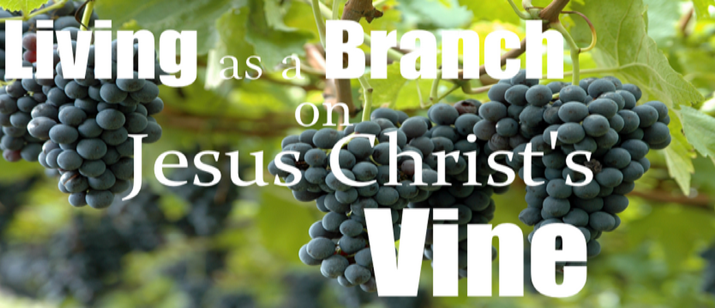 Living on Jesus Christ's Vine