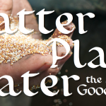 Scatter, Plant, Water the Seed of the Good News